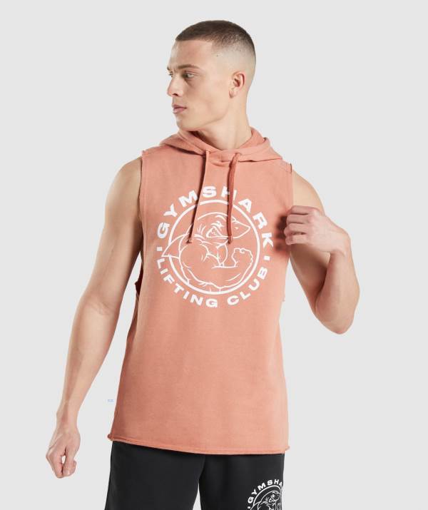 Panske Mikiny S Kapucňou Gymshark Legacy Drop Arm Ruzove | PJ4793018